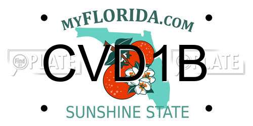CVD1B Florida License Plate