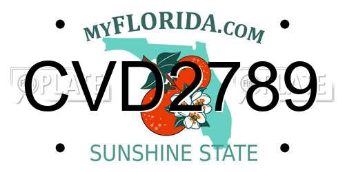 CVD2789 Florida License Plate