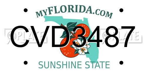 CVD3487 Florida License Plate