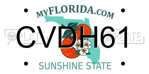 CVDH61 Florida License Plate