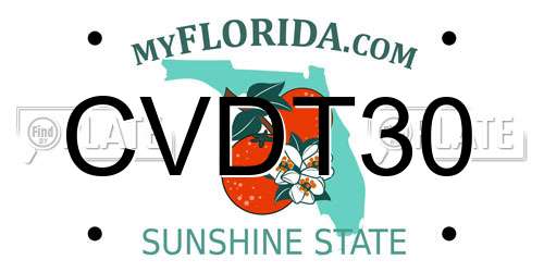 CVDT30 Florida License Plate
