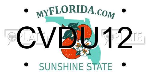 CVDU12 Florida License Plate
