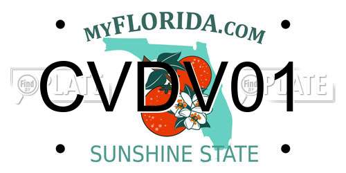 CVDV01 Florida License Plate