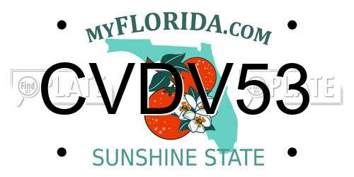 CVDV53 Florida License Plate