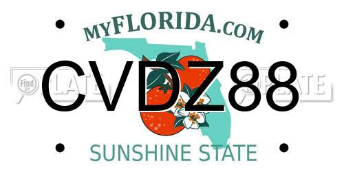 CVDZ88 Florida License Plate