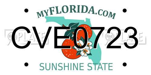 CVE0723 Florida License Plate