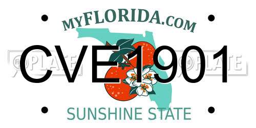 CVE1901 Florida License Plate