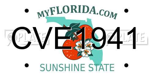 CVE1941 Florida License Plate
