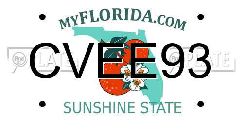 CVEE93 Florida License Plate