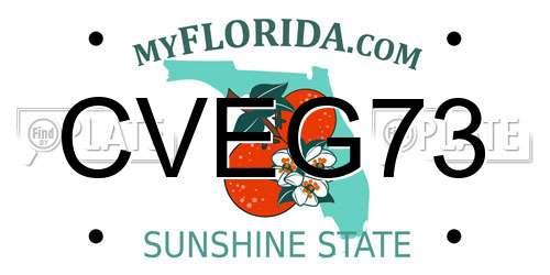CVEG73 Florida License Plate
