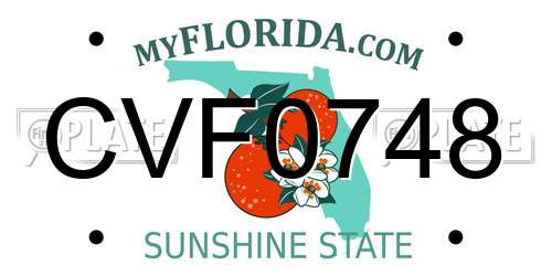 CVF0748 Florida License Plate