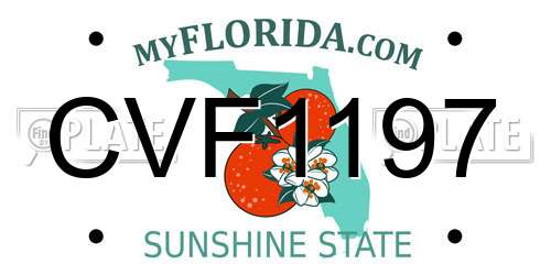 CVF1197 Florida License Plate