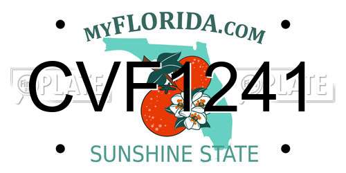 CVF1241 Florida License Plate