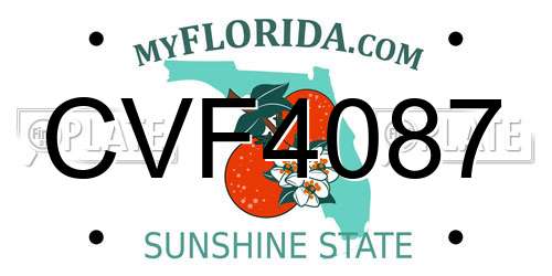 CVF4087 Florida License Plate