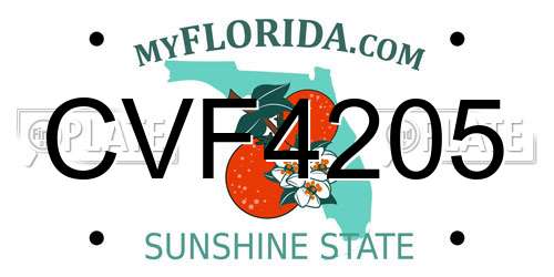 CVF4205 Florida License Plate