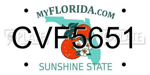 CVF5651 Florida License Plate