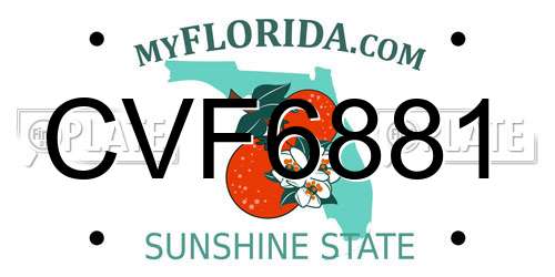 CVF6881 Florida License Plate