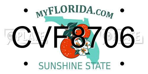 CVF8706 Florida License Plate