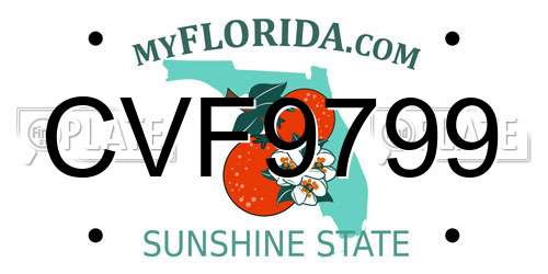CVF9799 Florida License Plate