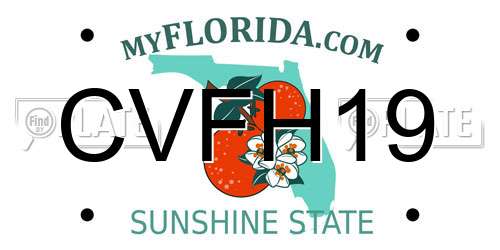 CVFH19 Florida License Plate
