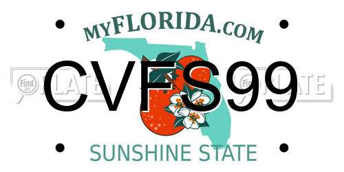 CVFS99 Florida License Plate