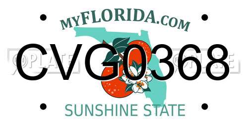CVG0368 Florida License Plate
