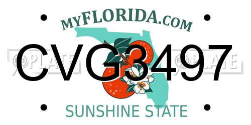 CVG3497 Florida License Plate