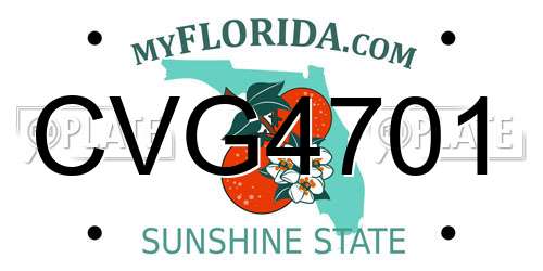 CVG4701 Florida License Plate