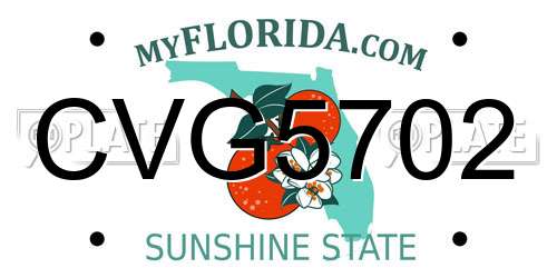 CVG5702 Florida License Plate