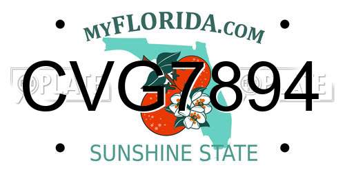 CVG7894 Florida License Plate