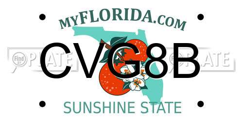 CVG8B Florida License Plate