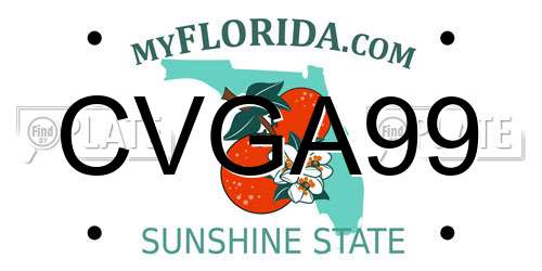 CVGA99 Florida License Plate