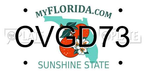 CVGD73 Florida License Plate