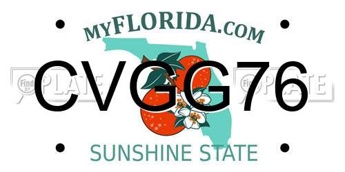 CVGG76 Florida License Plate