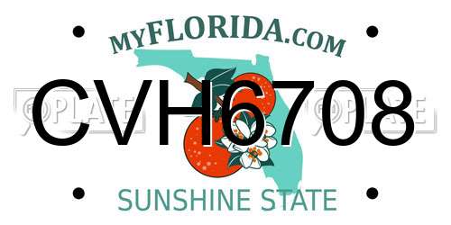 CVH6708 Florida License Plate