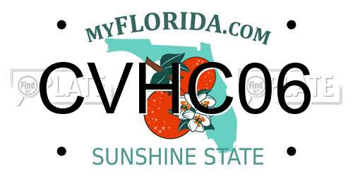 CVHC06 Florida License Plate