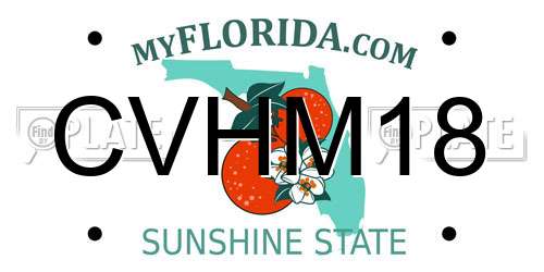 CVHM18 Florida License Plate