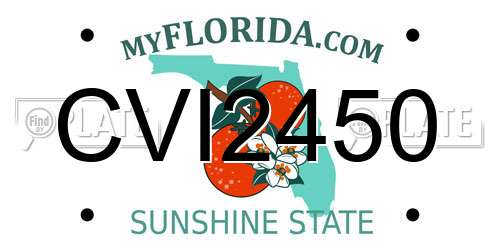 CVI2450 Florida License Plate