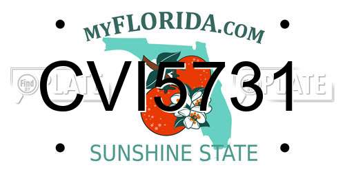 CVI5731 Florida License Plate