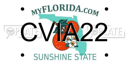 CVIA22 Florida License Plate