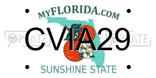 CVIA29 Florida License Plate