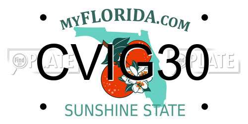 CVIG30 Florida License Plate