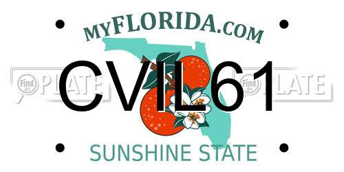 CVIL61 Florida License Plate