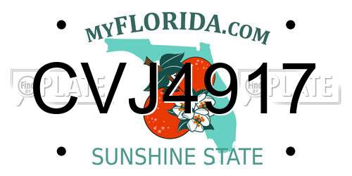 CVJ4917 Florida License Plate