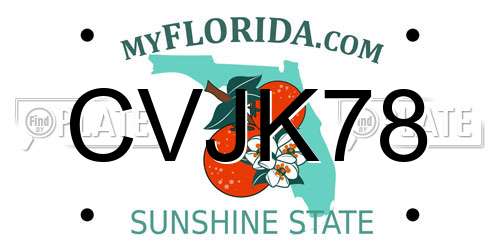 CVJK78 Florida License Plate