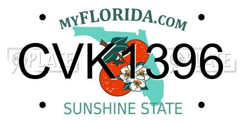 CVK1396 Florida License Plate