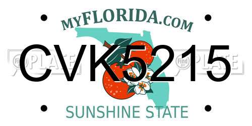 CVK5215 Florida License Plate
