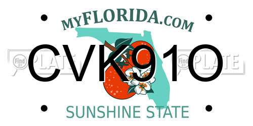 CVK91O Florida License Plate