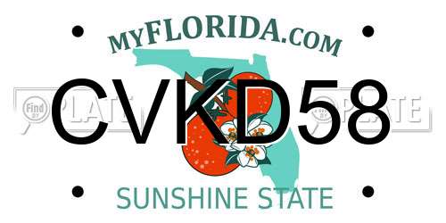 CVKD58 Florida License Plate