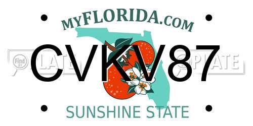 CVKV87 Florida License Plate